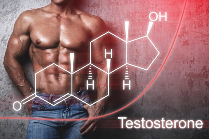 Testosterone