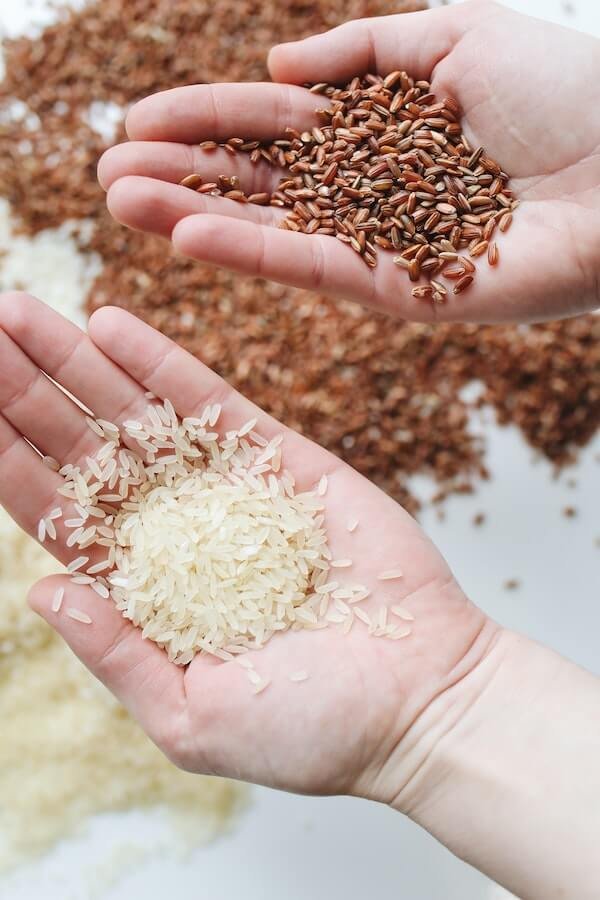 Understanding Carbohydrates and Their Role in Your Diet in 2023 1 pexels polina tankilevitch 4110256 1