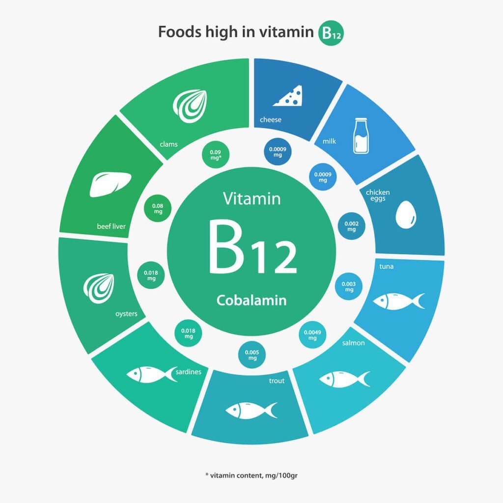 What You Don't Know About Vitamin B12 Deficiency Could Harm You 1 vitamin b12 infographics 1