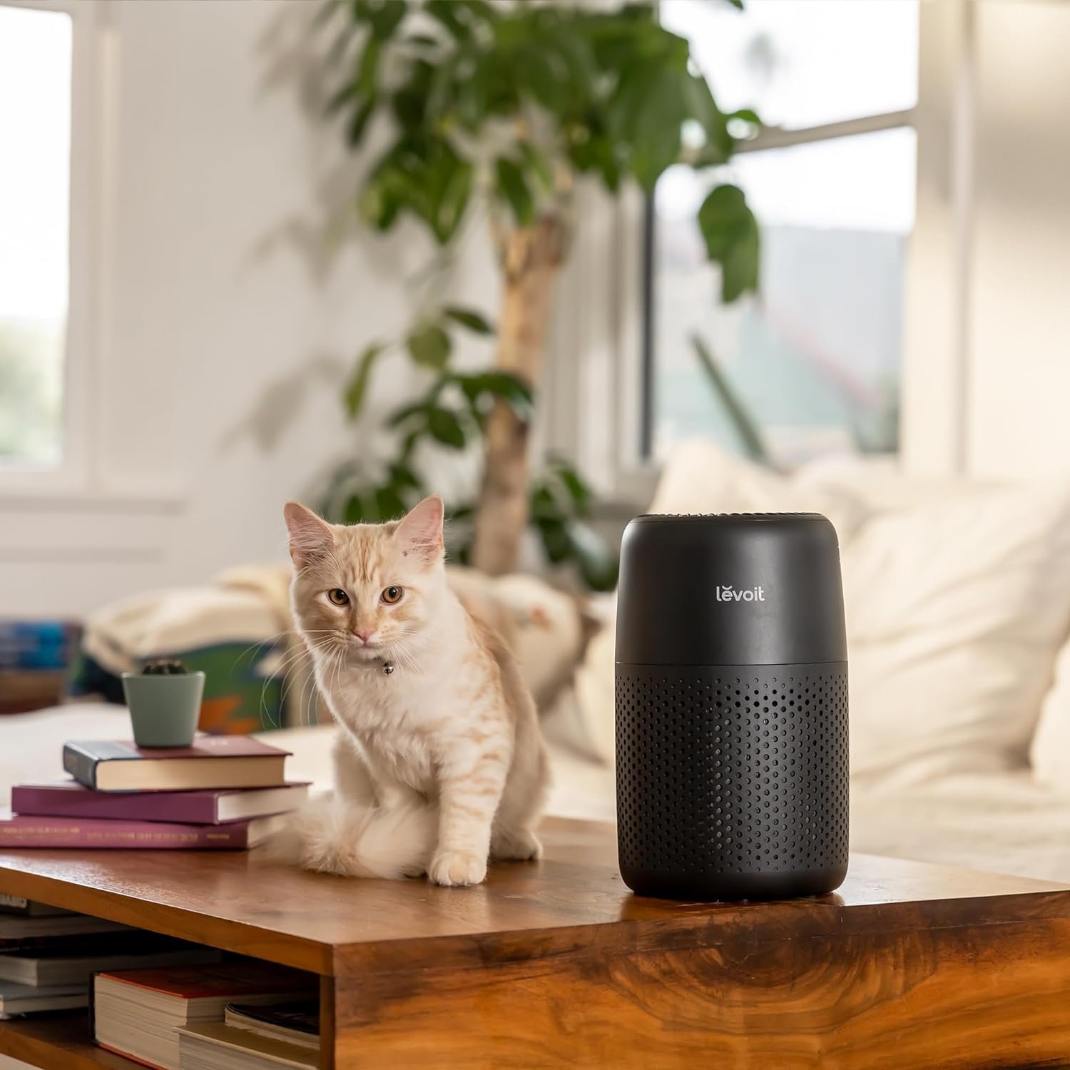 LEVOIT Air Purifiers for Bedroom Home, 3-in-1 Filter Cleaner with Fragrance Sponge for Better Sleep, Filters Smoke, Allergies, Pet Dander, Odor, Dust, Office, Desktop, Portable, Core Mini, White